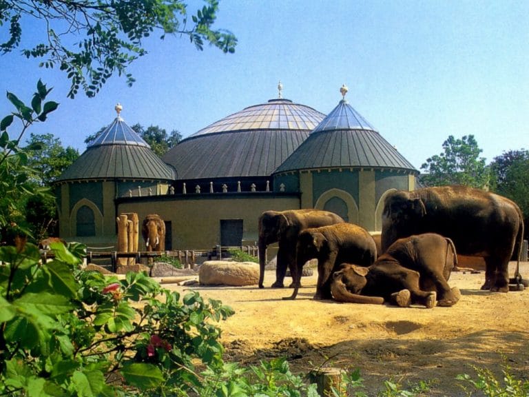 حديقة الحيوانات هيلابرون اماكن سياحية في ميونخ